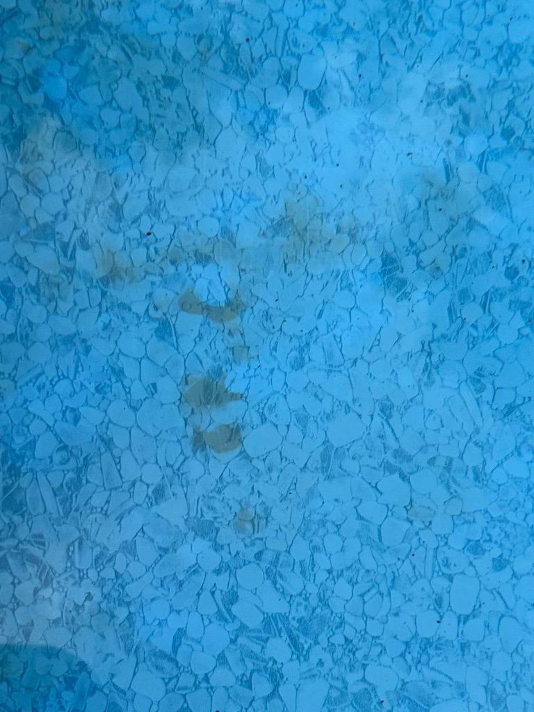 6AA143D2-EAA7-4772-8E18-3B69D79094BA.jpeg