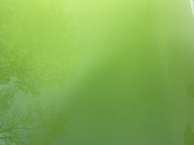 6AE81408-FDE7-4AC0-9767-D063C08865C0.jpeg