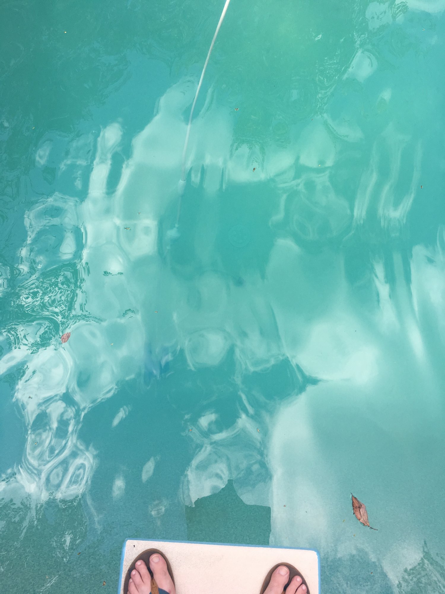 6C6798FA-4936-4AA6-9CAF-17D46EDE86DB.jpeg