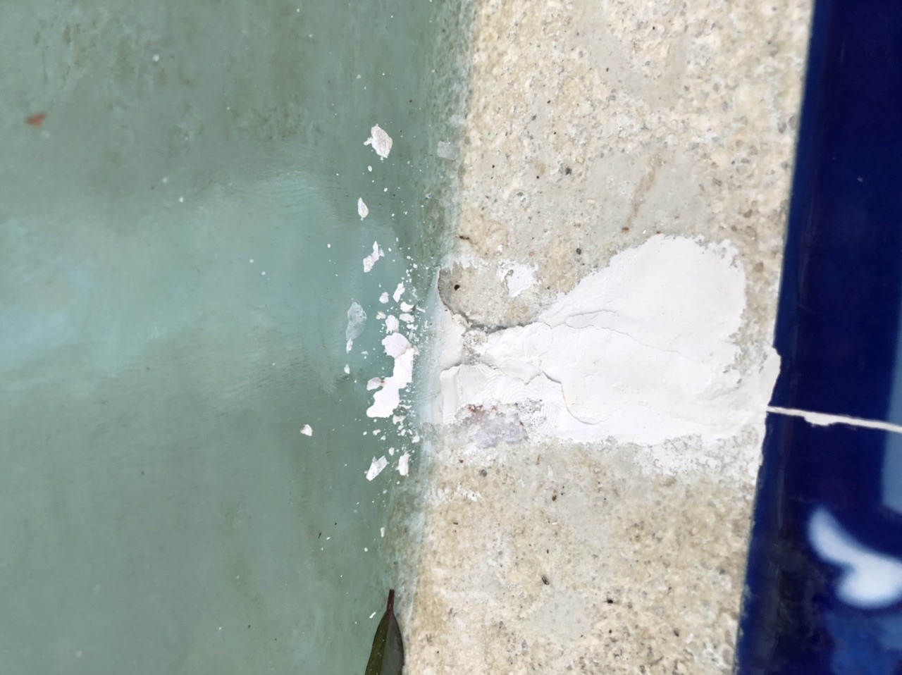 6E1019AF-732E-4F14-A20E-A6C1108E297B.jpeg