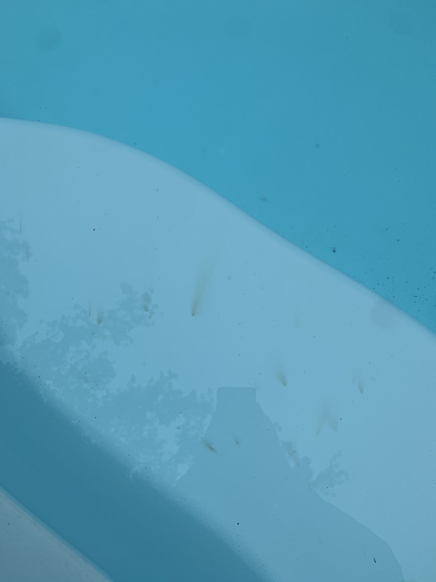 708AE847-A5EA-4052-9838-0583BAACED63.jpeg
