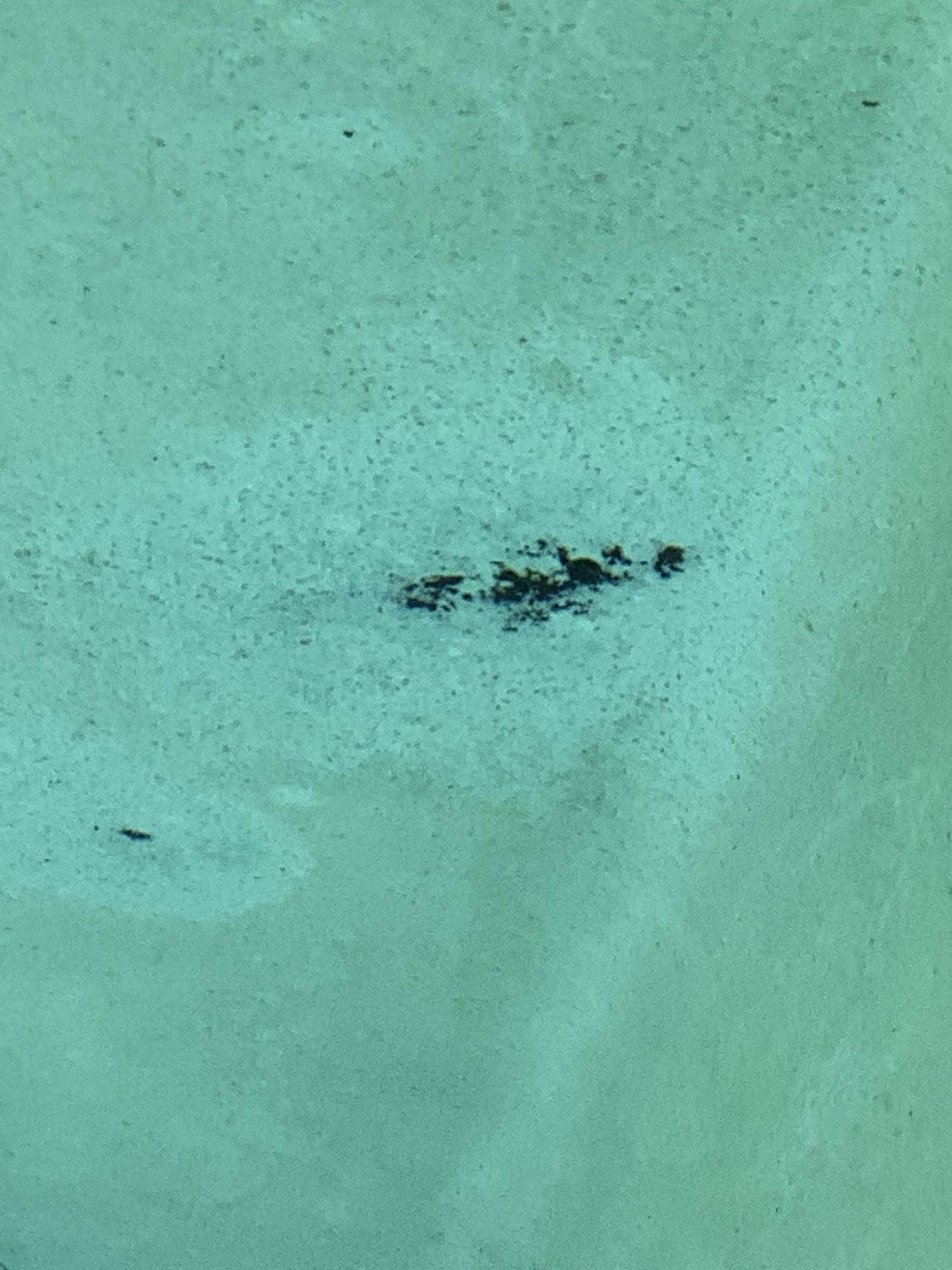 73B2D839-72D5-4842-943E-396EC3C220D0.jpeg