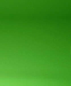 750420D3-DFC6-4BDD-AF5D-CA38F8B9D371.gif