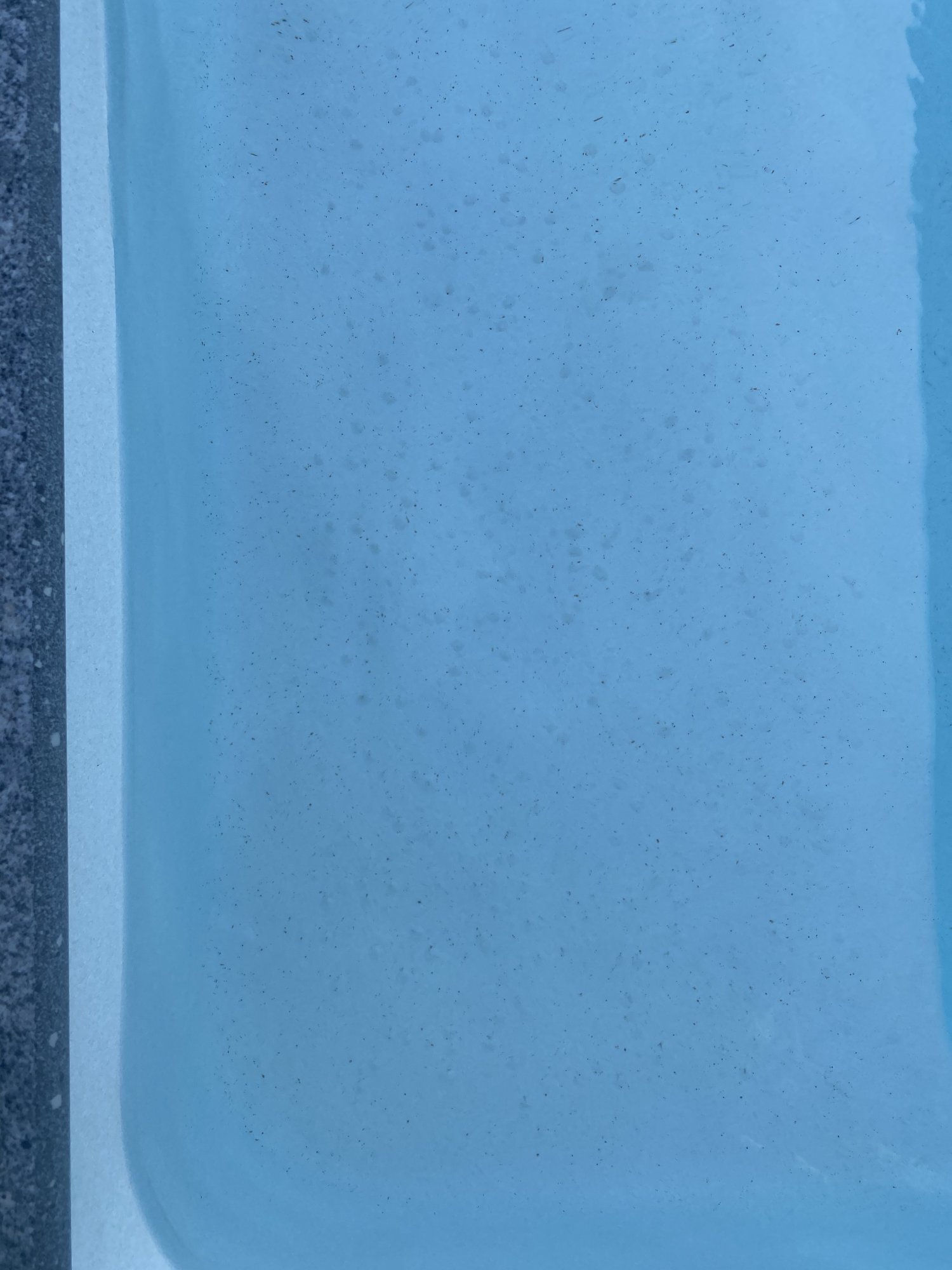 75E21BCE-C036-4729-8937-46EF54A714E7.jpeg
