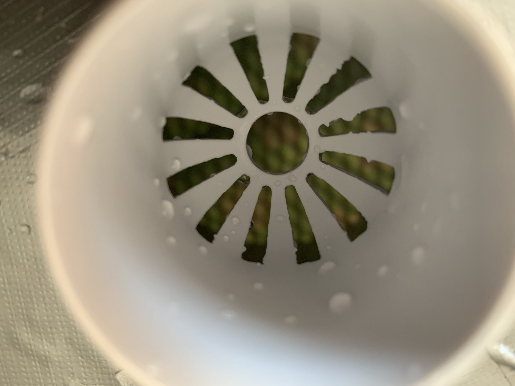 76CB6E16-2487-40CB-AF86-C1F828B4BAFB.jpeg