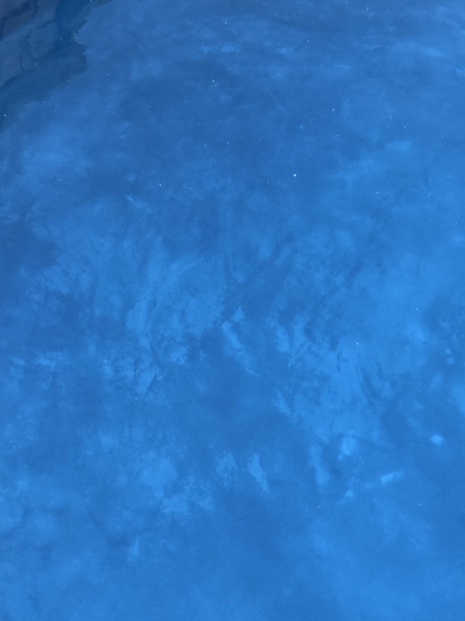7732A423-92E9-4E98-AF87-C635988BFD0C.jpeg