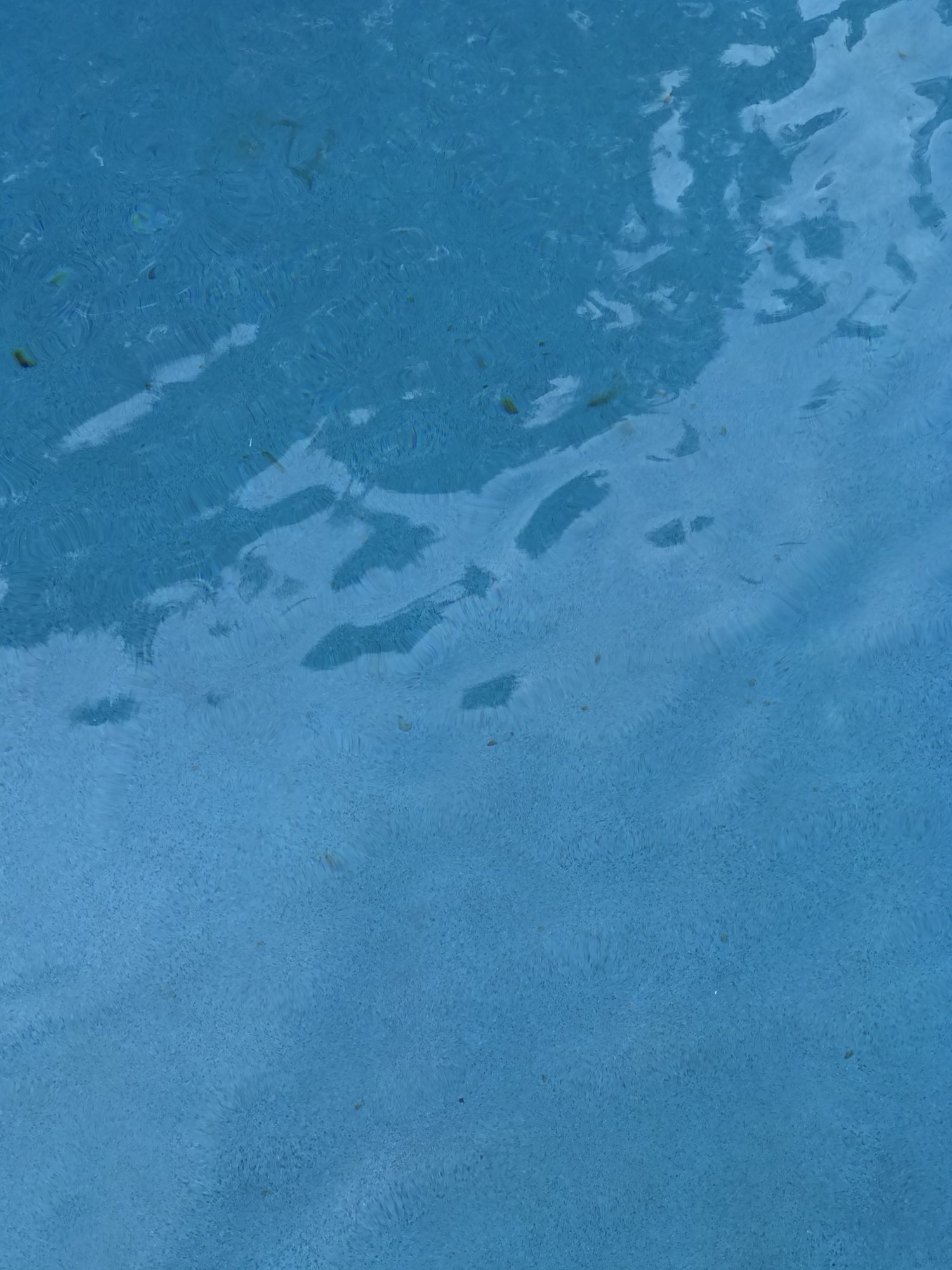 77A1A817-47E2-4BC3-A43C-302C1A4F33F0.jpeg
