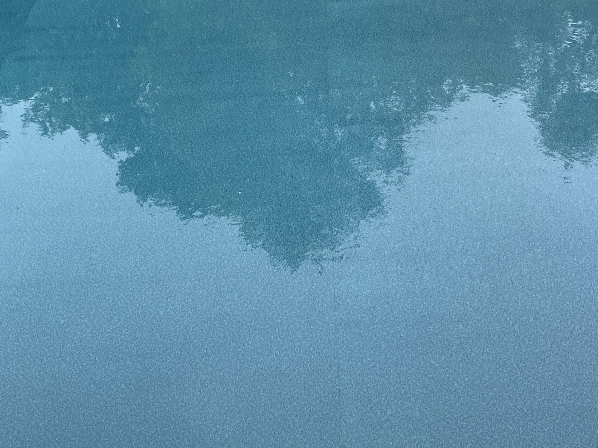 77E9CE07-96BE-4537-8DCE-E60629CFFF45.jpeg