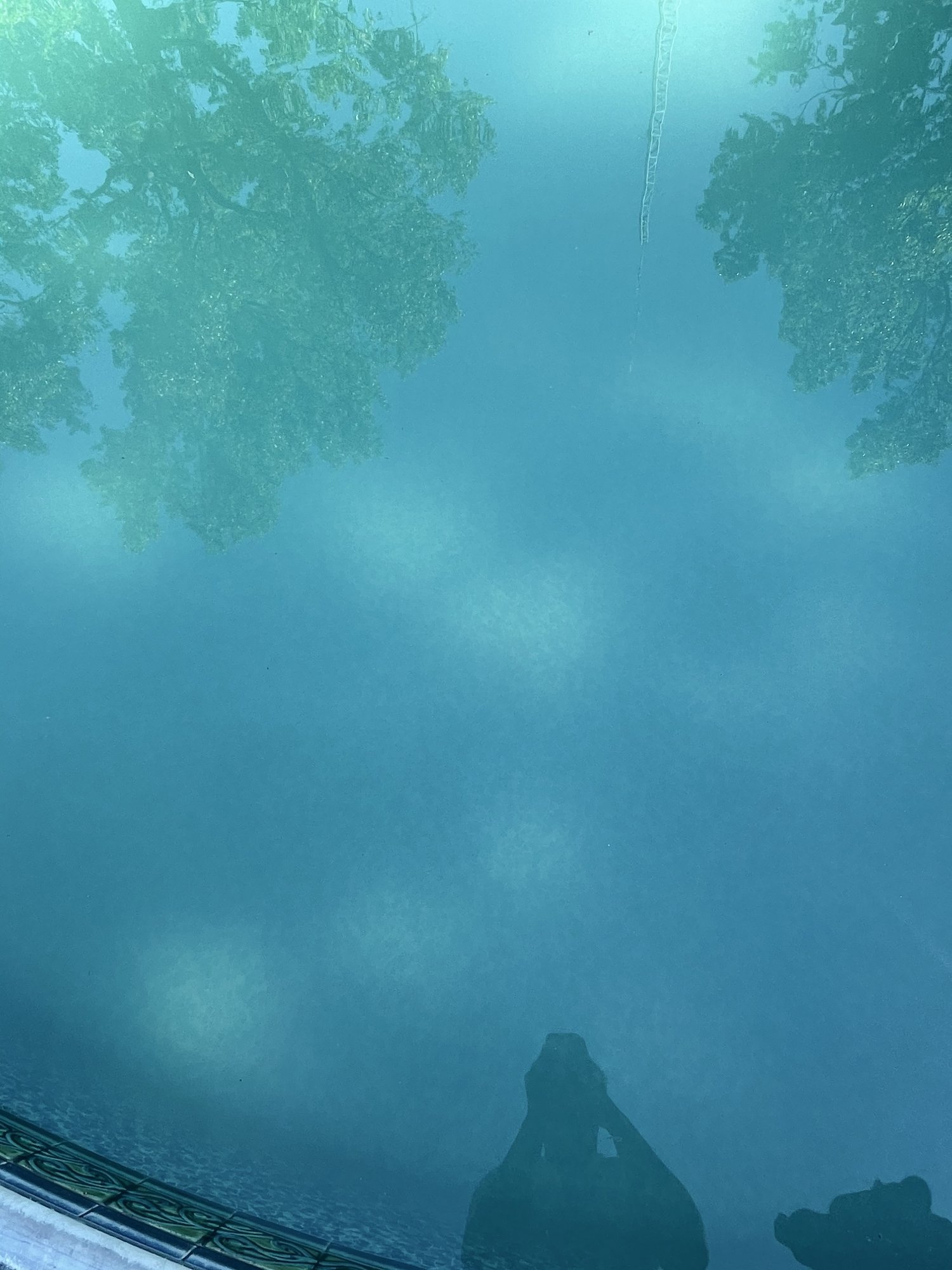 789D00C4-896D-4545-9824-F8B43FBE5A95.jpeg