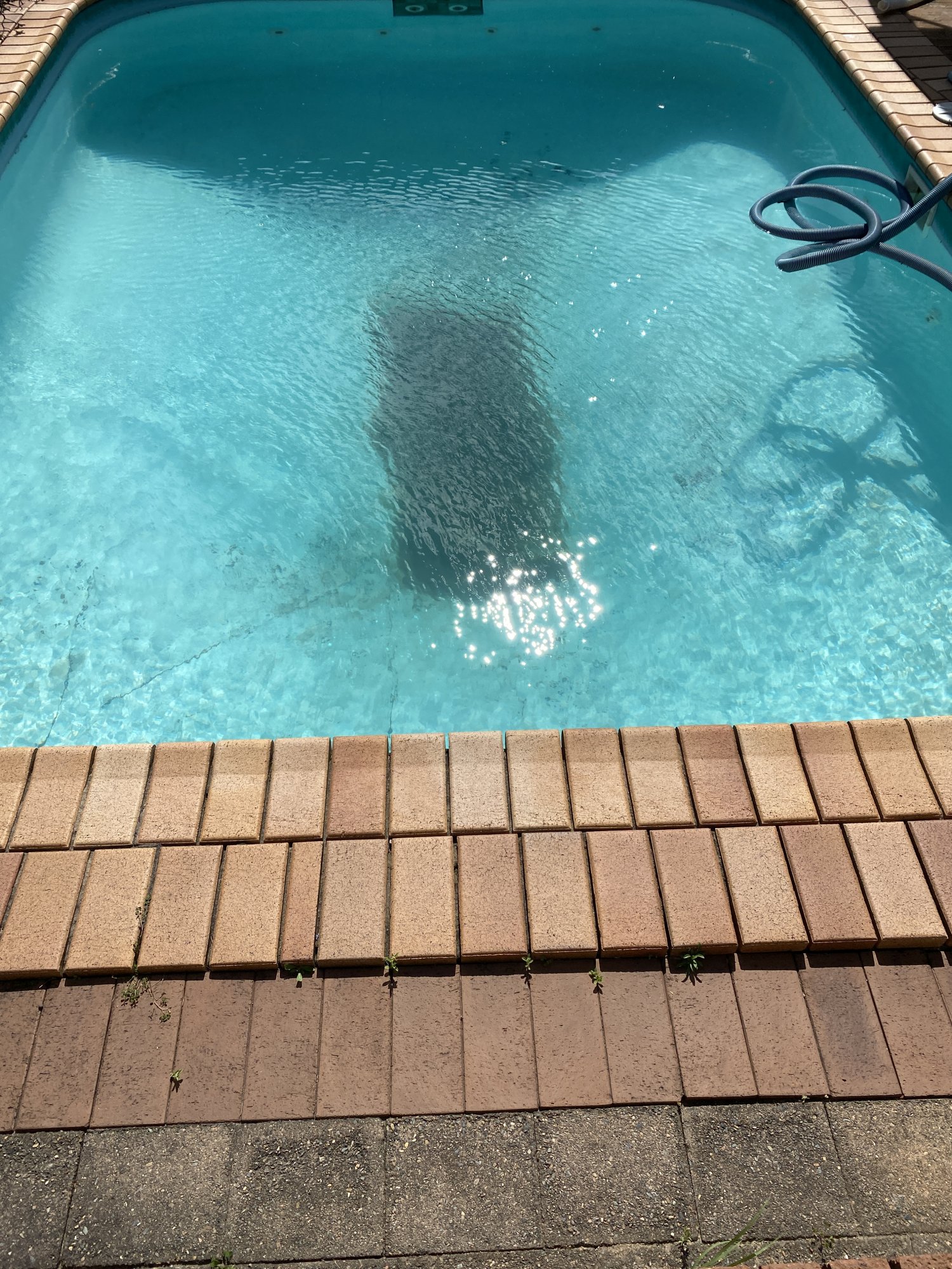 7973E05D-7860-4139-B921-C6E24422C420.jpeg