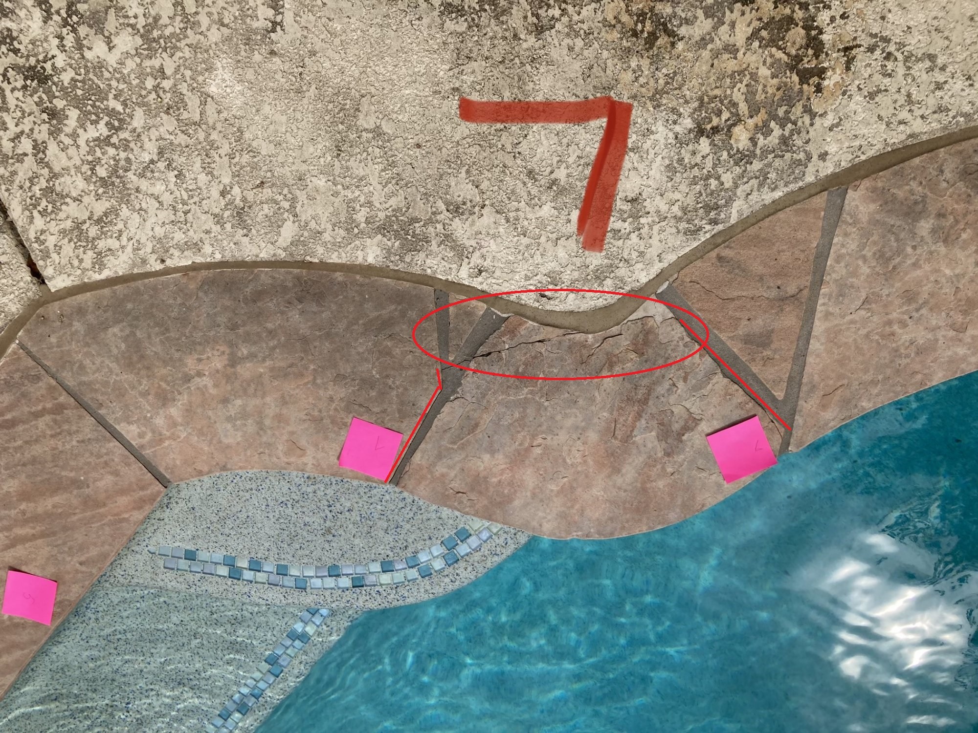 7a.jpeg