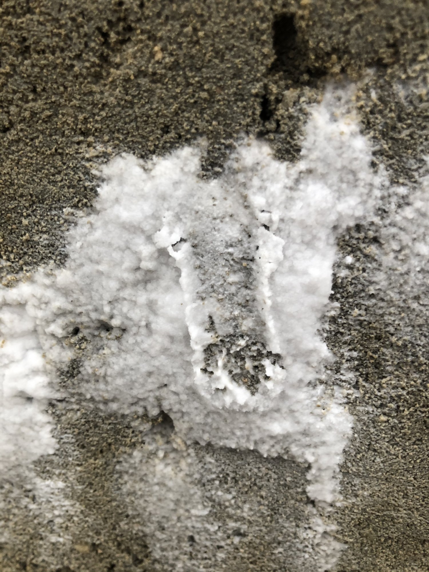 7AB7464E-F7C0-47DB-8ADC-D65C8AAF9335.jpeg