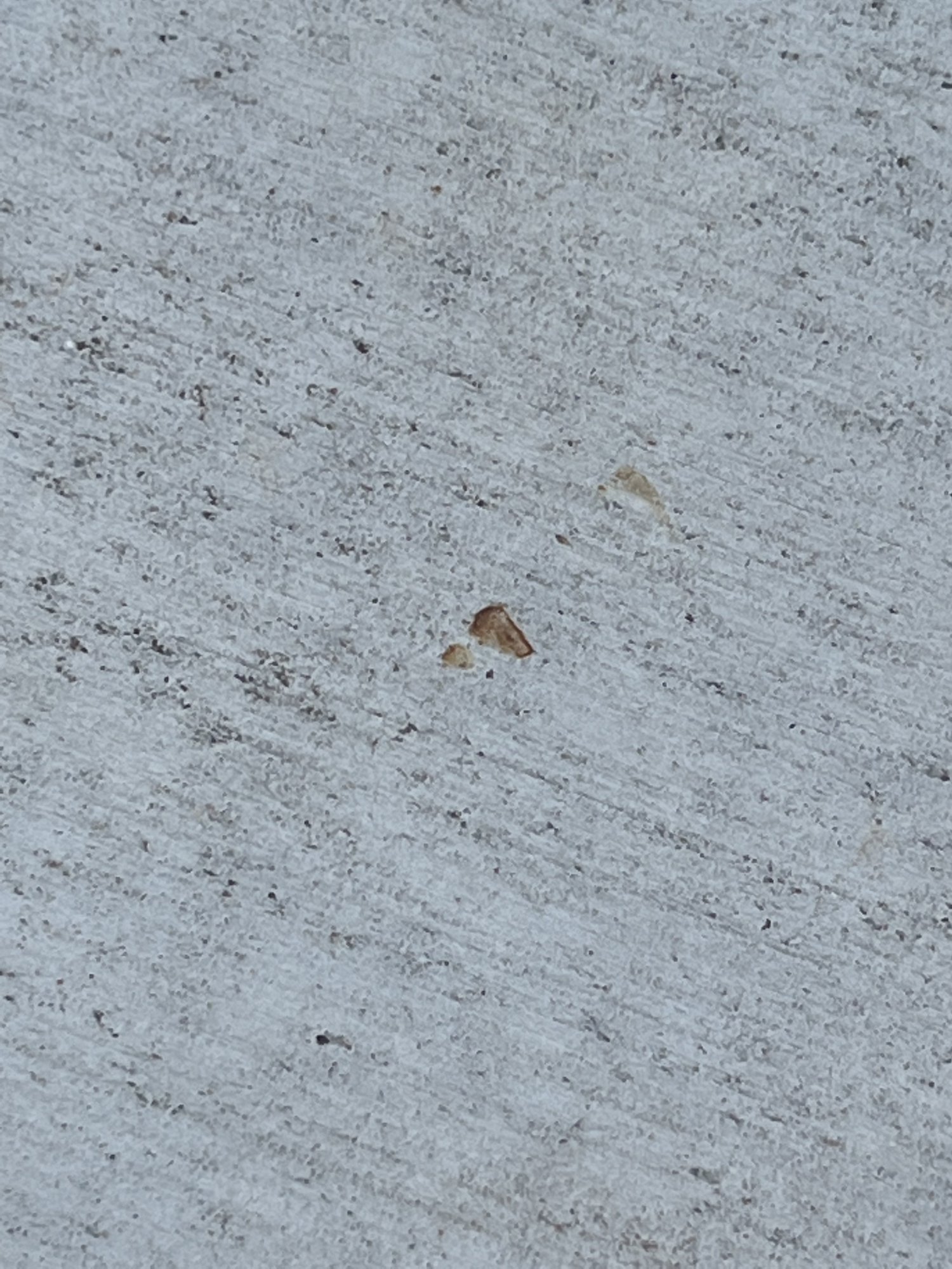 7C7E733C-5F18-4DDF-BB13-84648960176D.jpeg