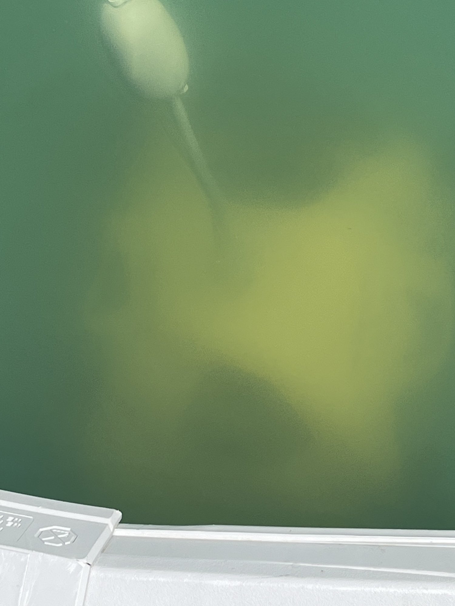 7D831C4D-A224-4FC5-84FD-3A5927A66A3A.jpeg