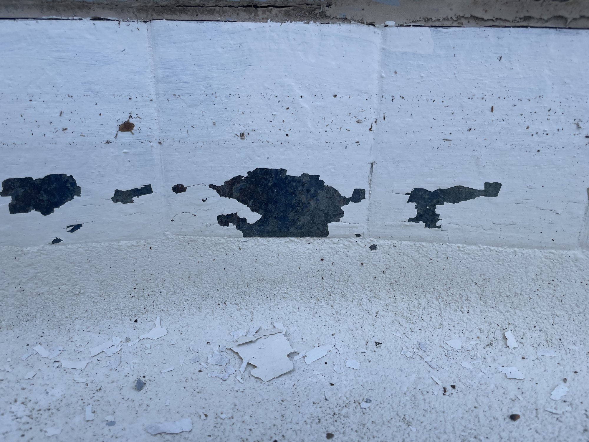 7EB59A14-C2E3-4AB5-B452-664B7565F2F2.jpeg