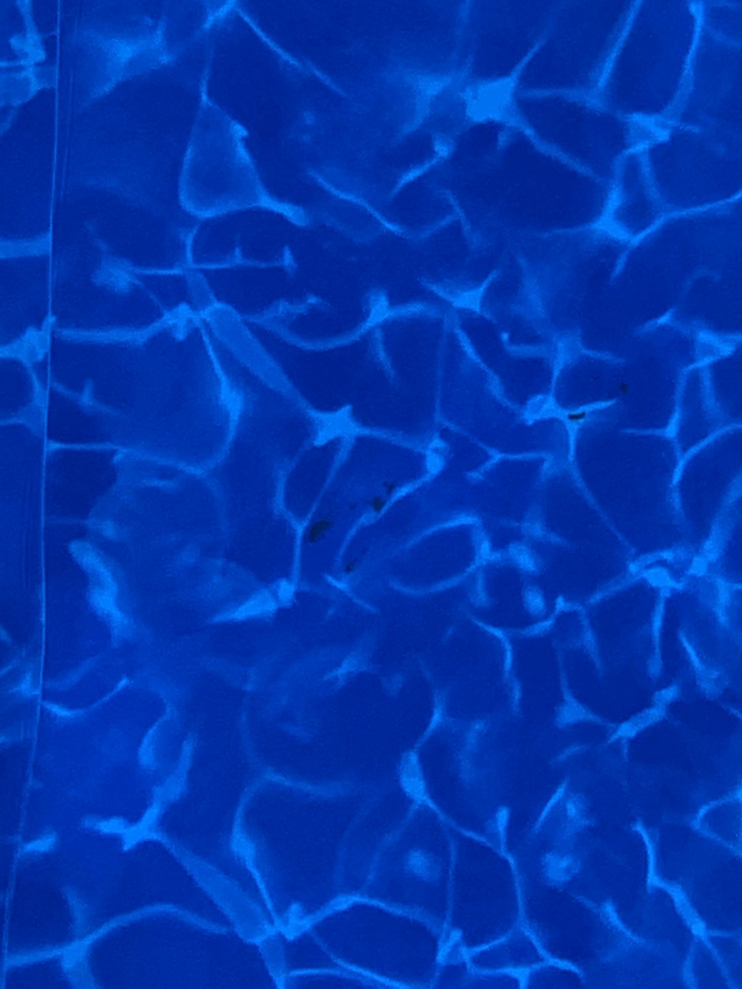7F3422ED-0108-448E-8878-5143F9D4C1F1.jpeg
