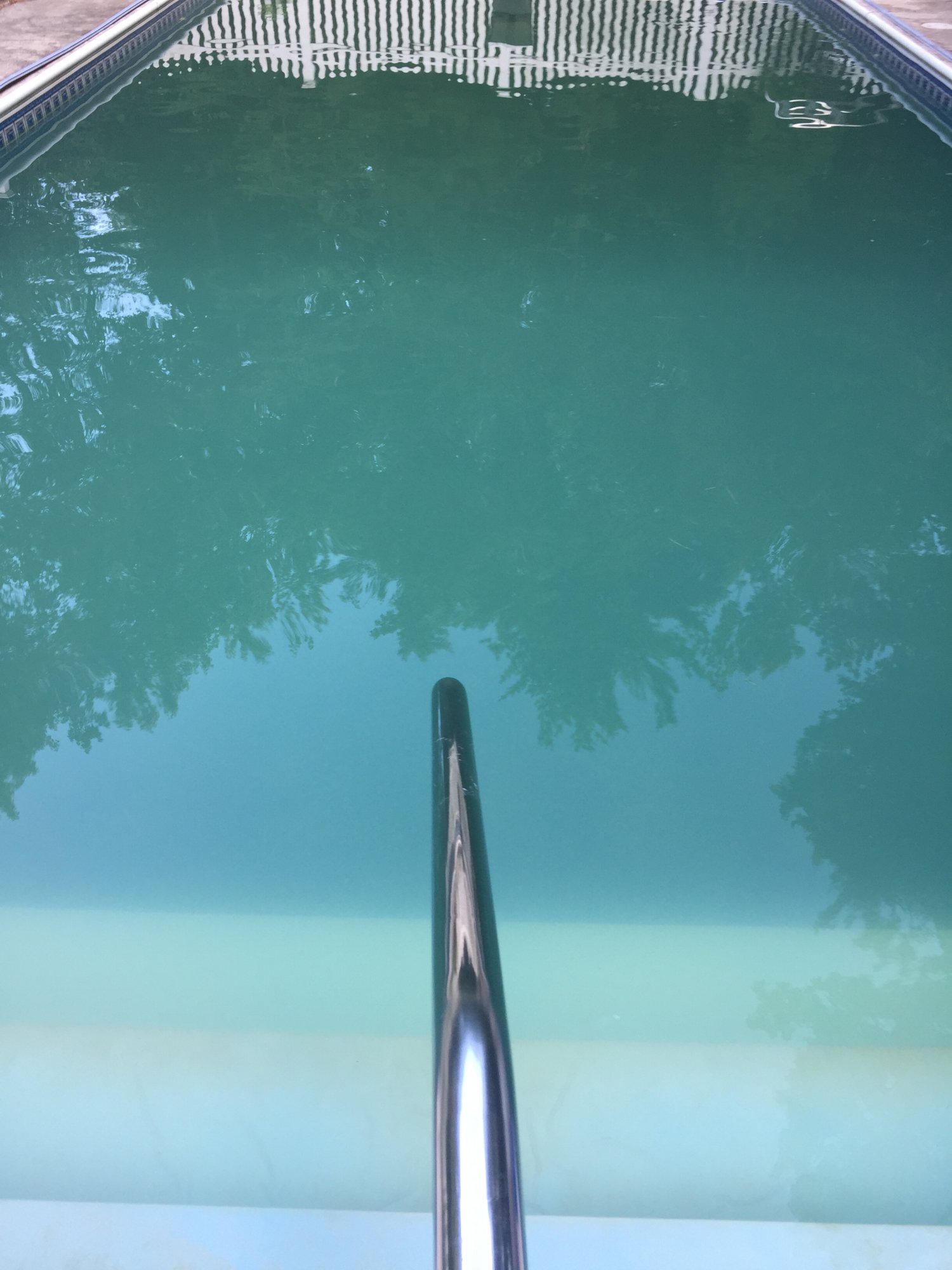 8:18 pool.JPG