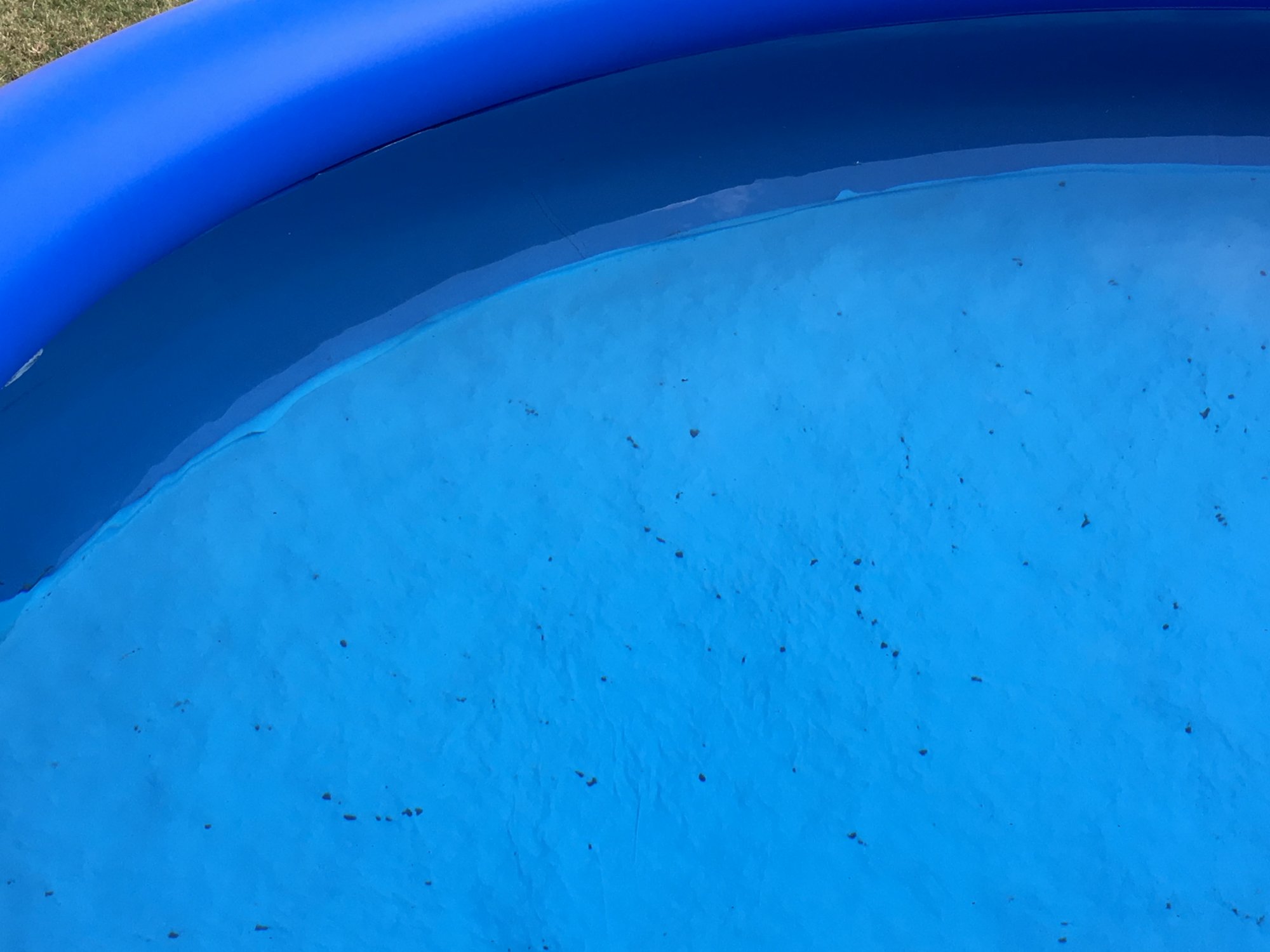 807E5CD0-F3F5-47C0-AD10-BE4B15A37E47.jpeg