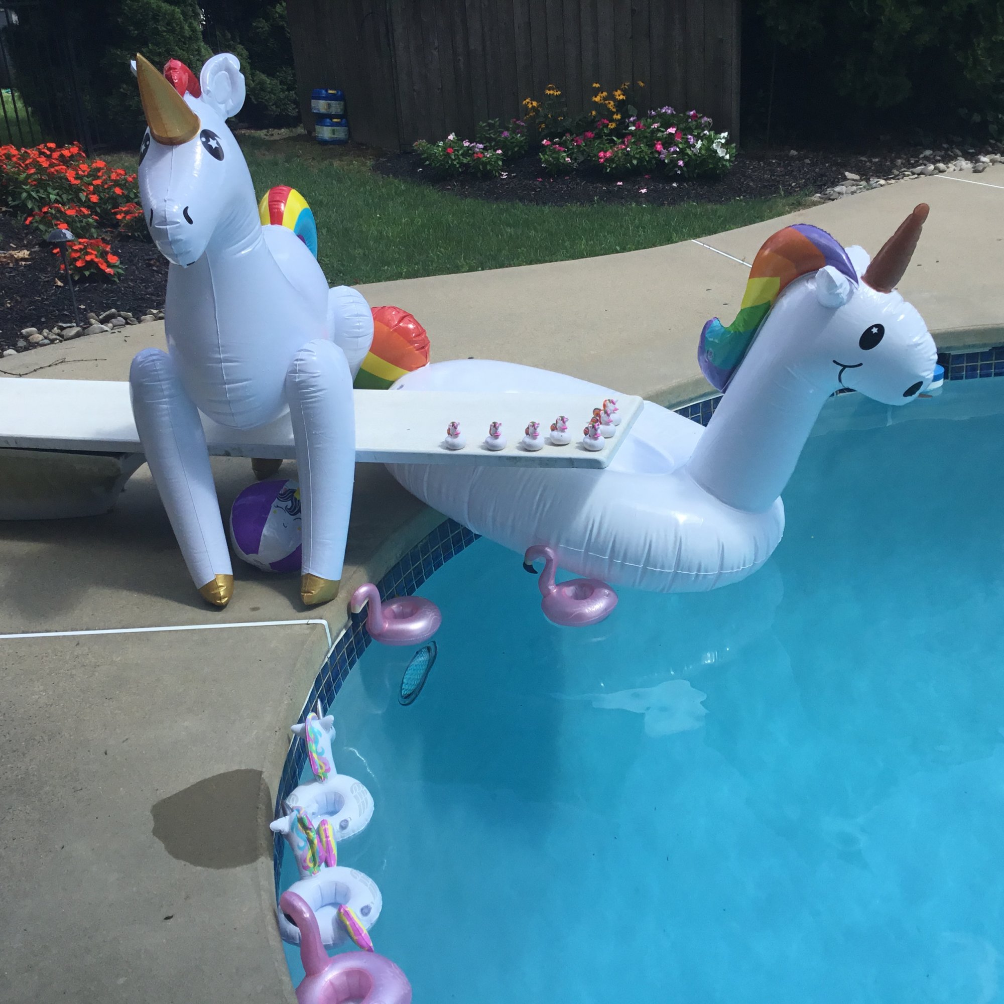 8098FAF9-3D23-4C1B-A500-6B6AB8E8C452.jpeg