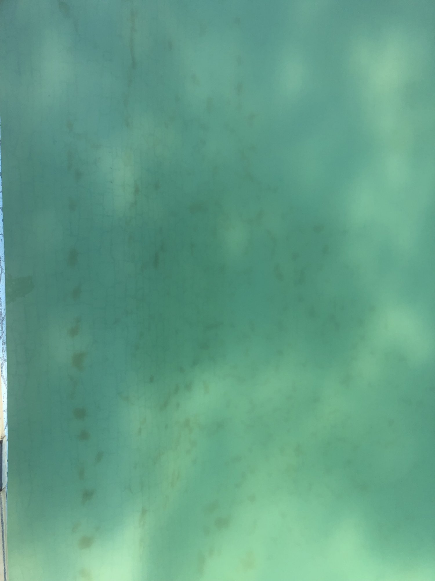 81138CB4-EF71-44FE-B8E6-926B13B0EC40.jpeg
