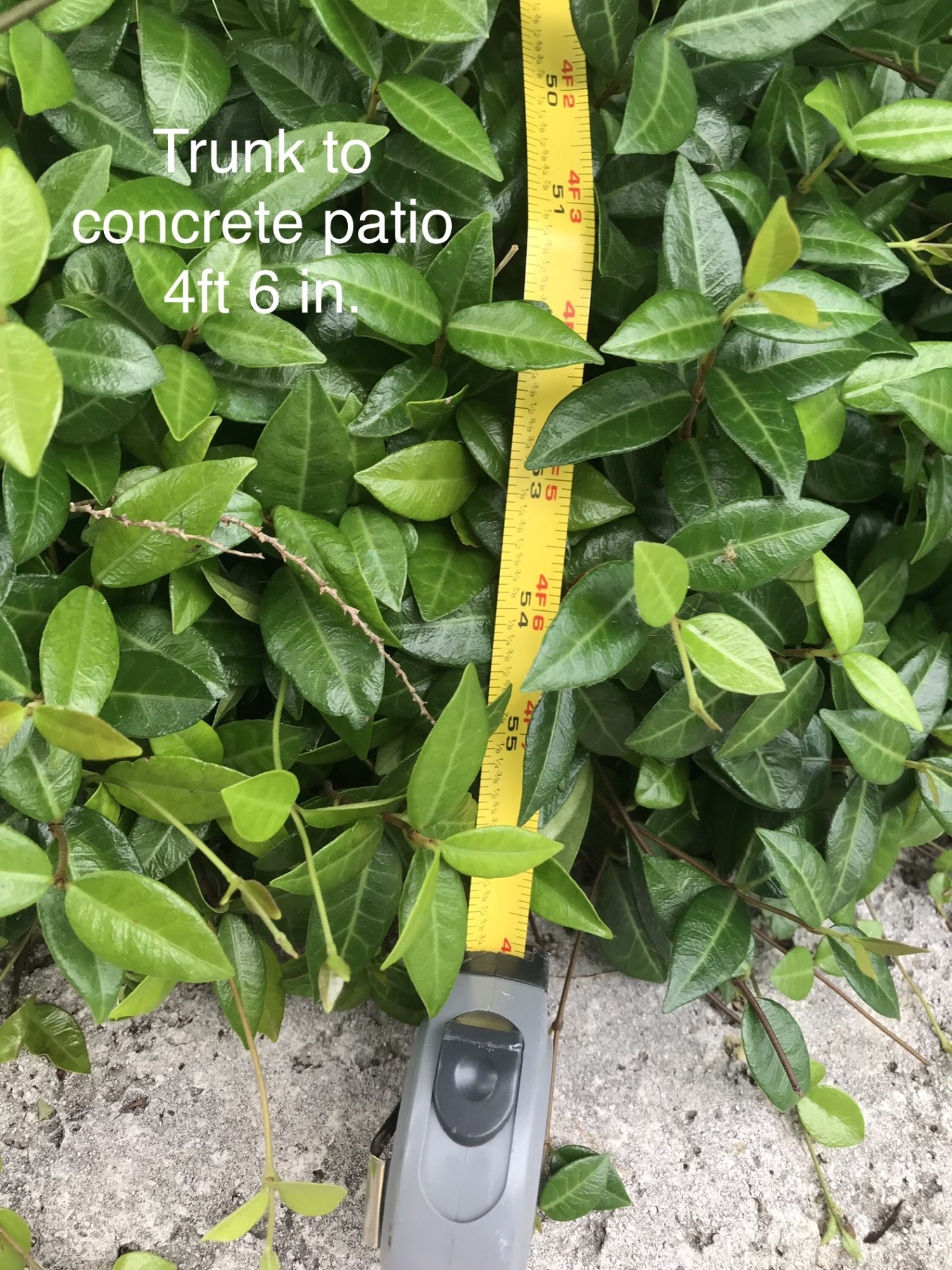 81920BF3-6297-47C8-9949-07B1FF651888.jpeg