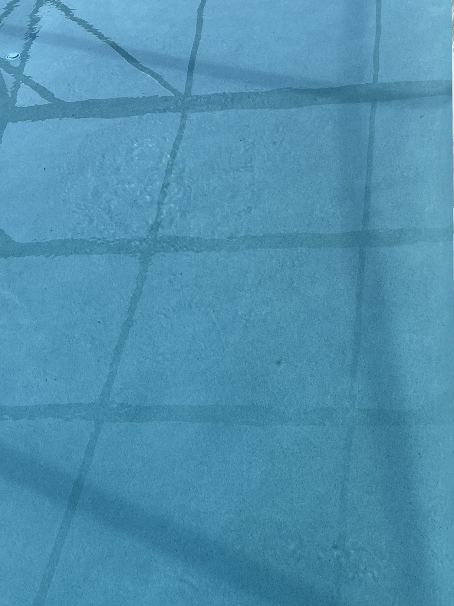 8209157A-FF93-421D-9AC3-4E935D242C9B.jpeg