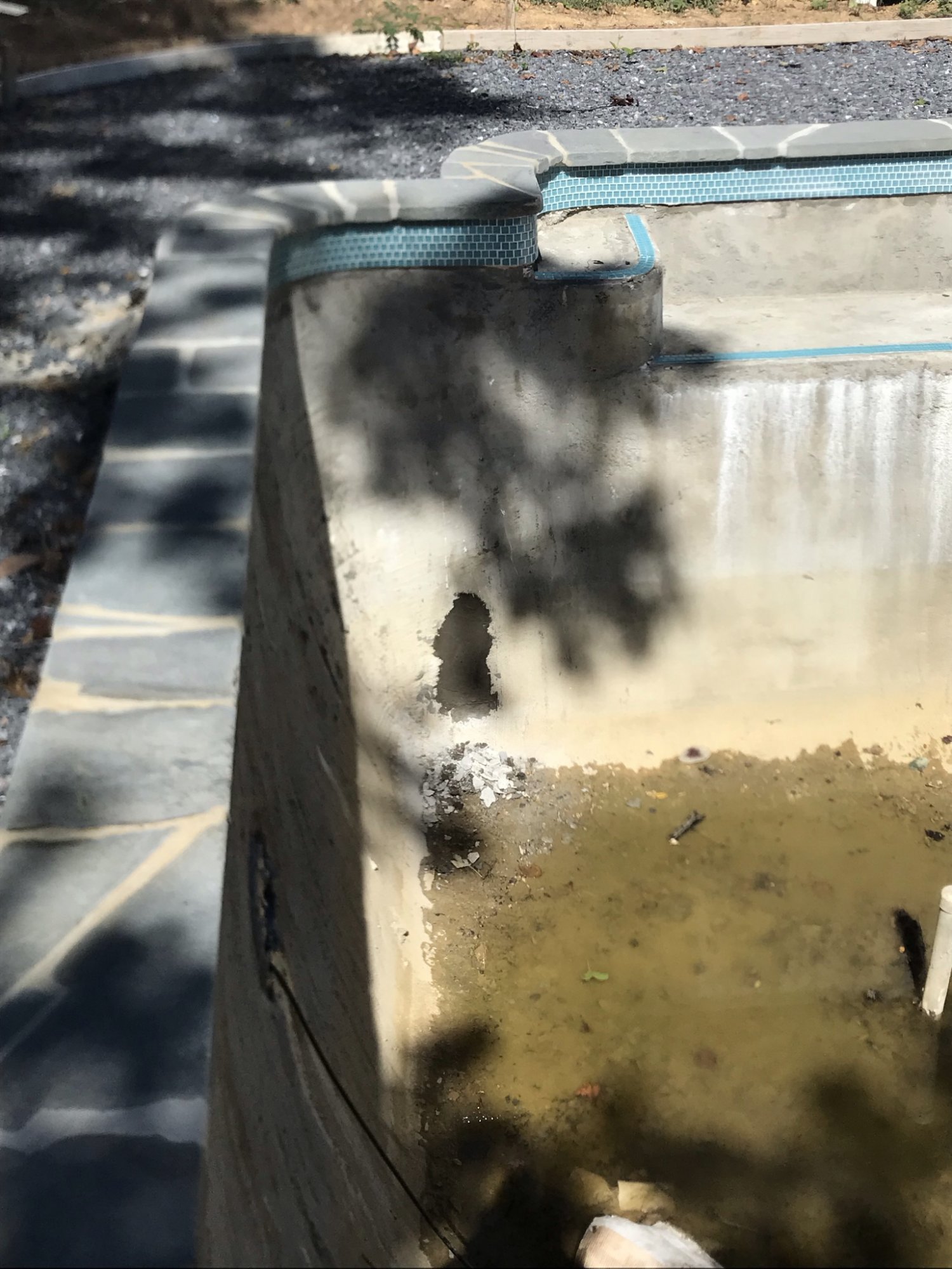8357ECA7-D068-450C-89EF-6BBB1E1976CF.jpeg