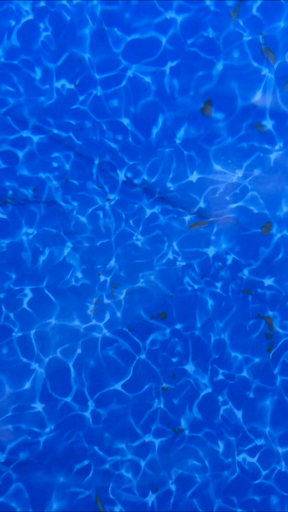 86EABCEC-A6A0-46EE-8E8E-7861EEA4C3D2.png