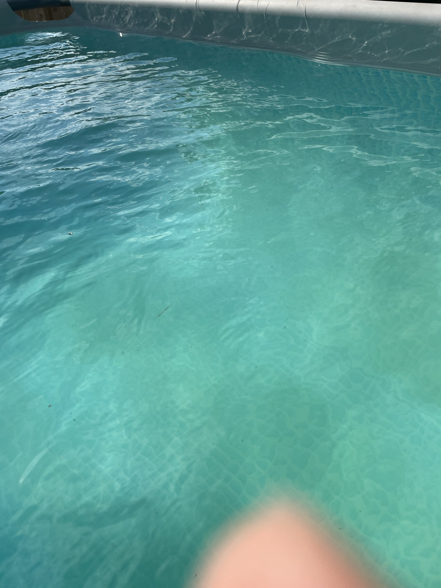 895E6B2F-B51C-4C18-8B3C-8521DF61E1A4.jpeg
