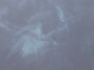 89672146-DDF2-4AFF-B728-FFCB2D4E0E76.jpeg