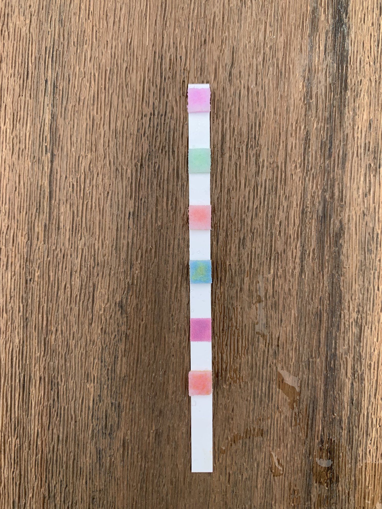8AD27F6C-176C-4FD5-9C2E-7E143E6D5B34.jpeg