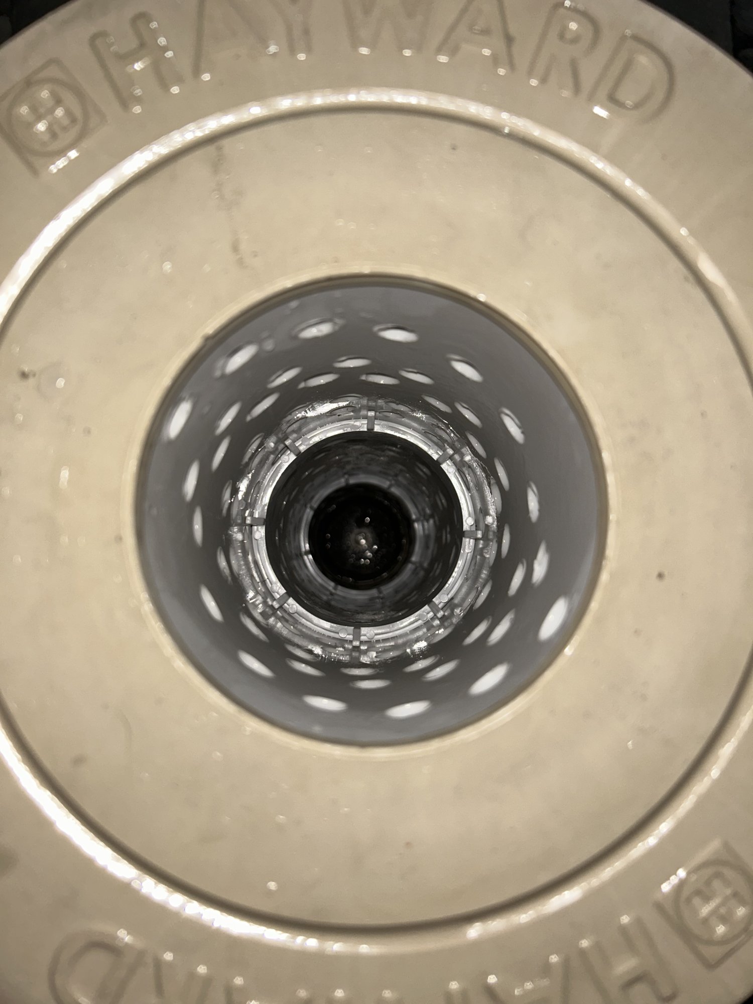 8C293E60-8E08-49F8-AA71-8D7E1F161409.jpeg