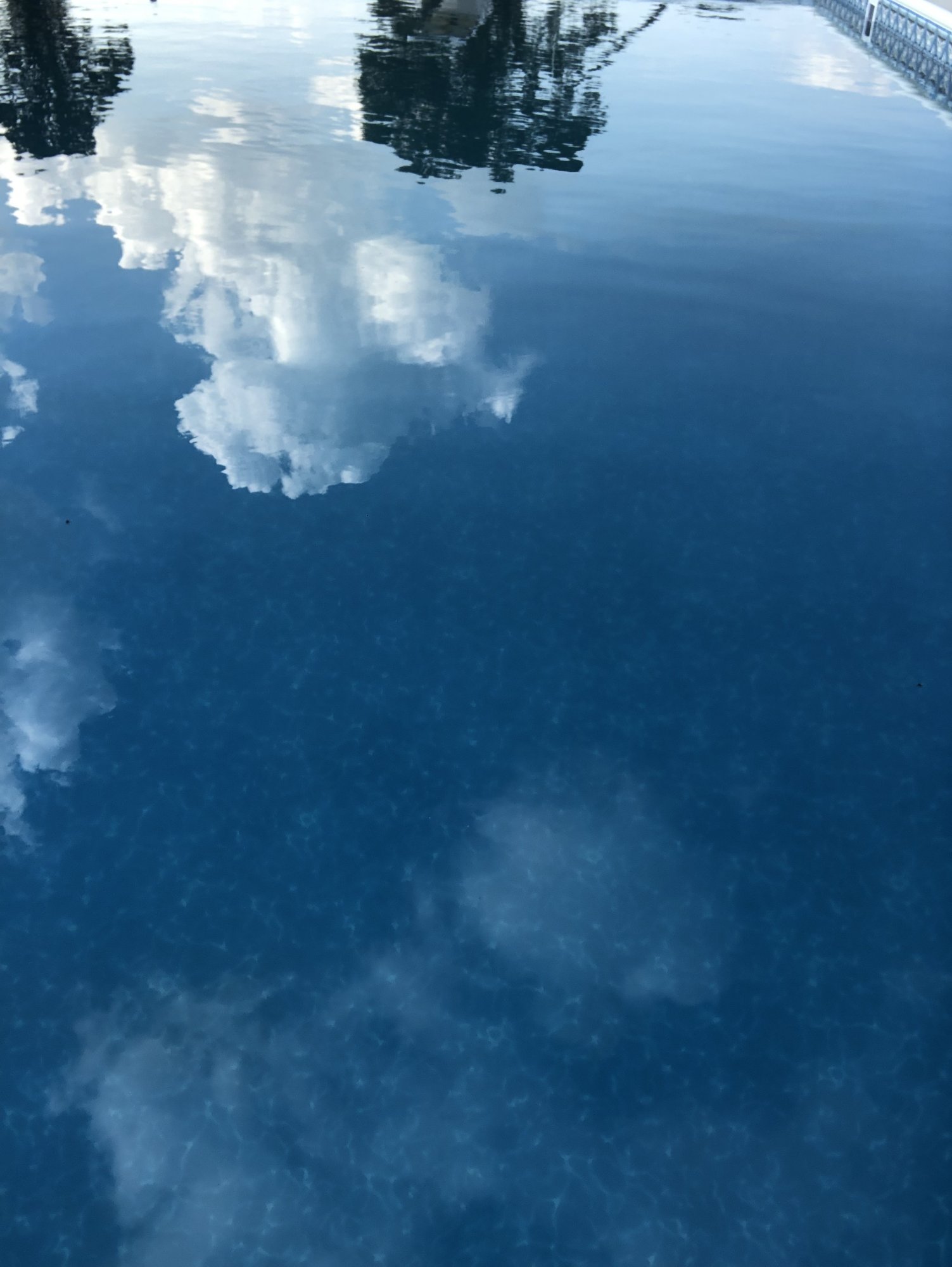 8C7D4FDC-5B8A-4768-B97C-8B56B78344B5.jpeg