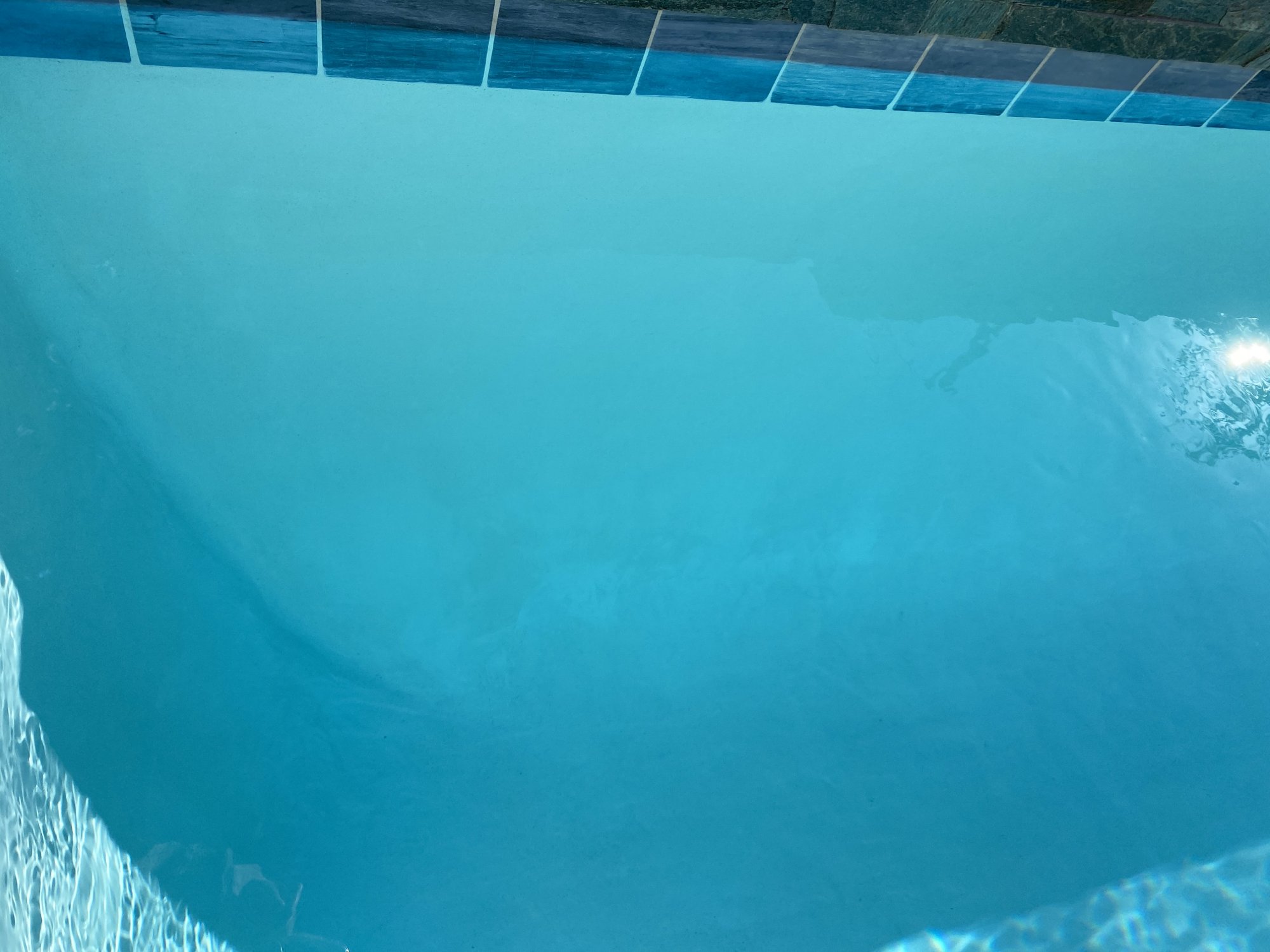 8C801EEF-184F-4228-AAB4-C98F98C30E72.jpeg