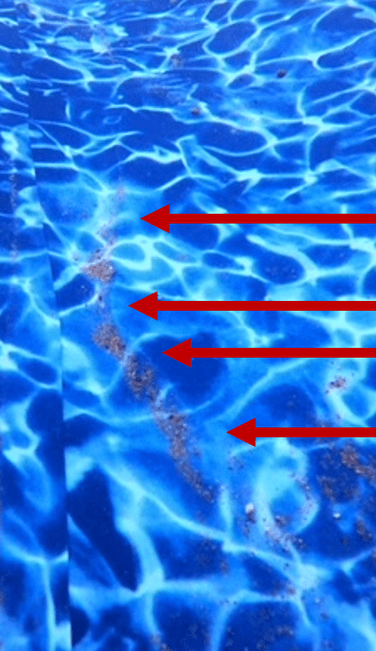 8EAE348C-82C5-4750-BC7E-B371FE6D237D.png