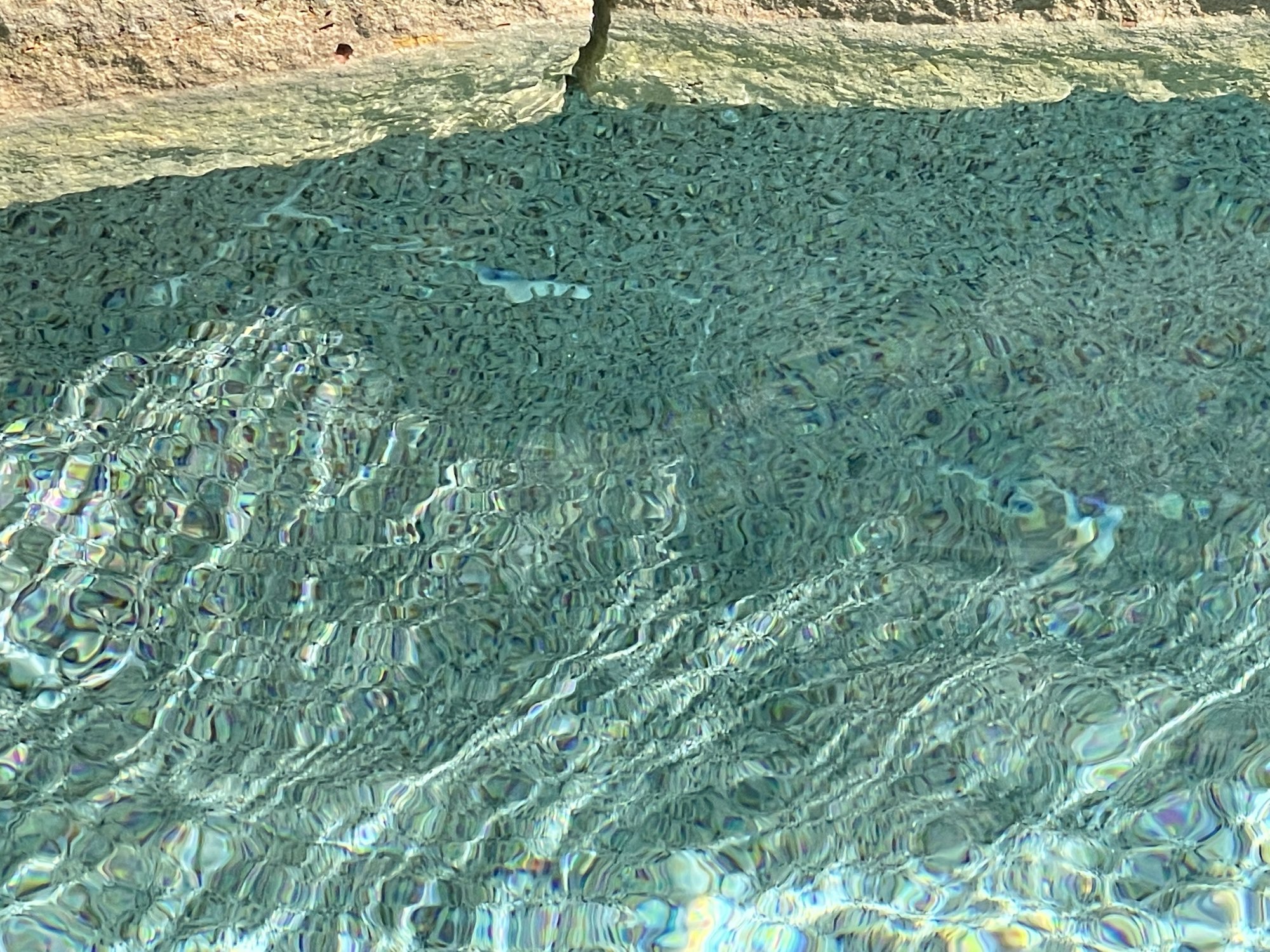 8F6CF77E-D5C1-46EF-B647-4573D5E08A56.jpeg