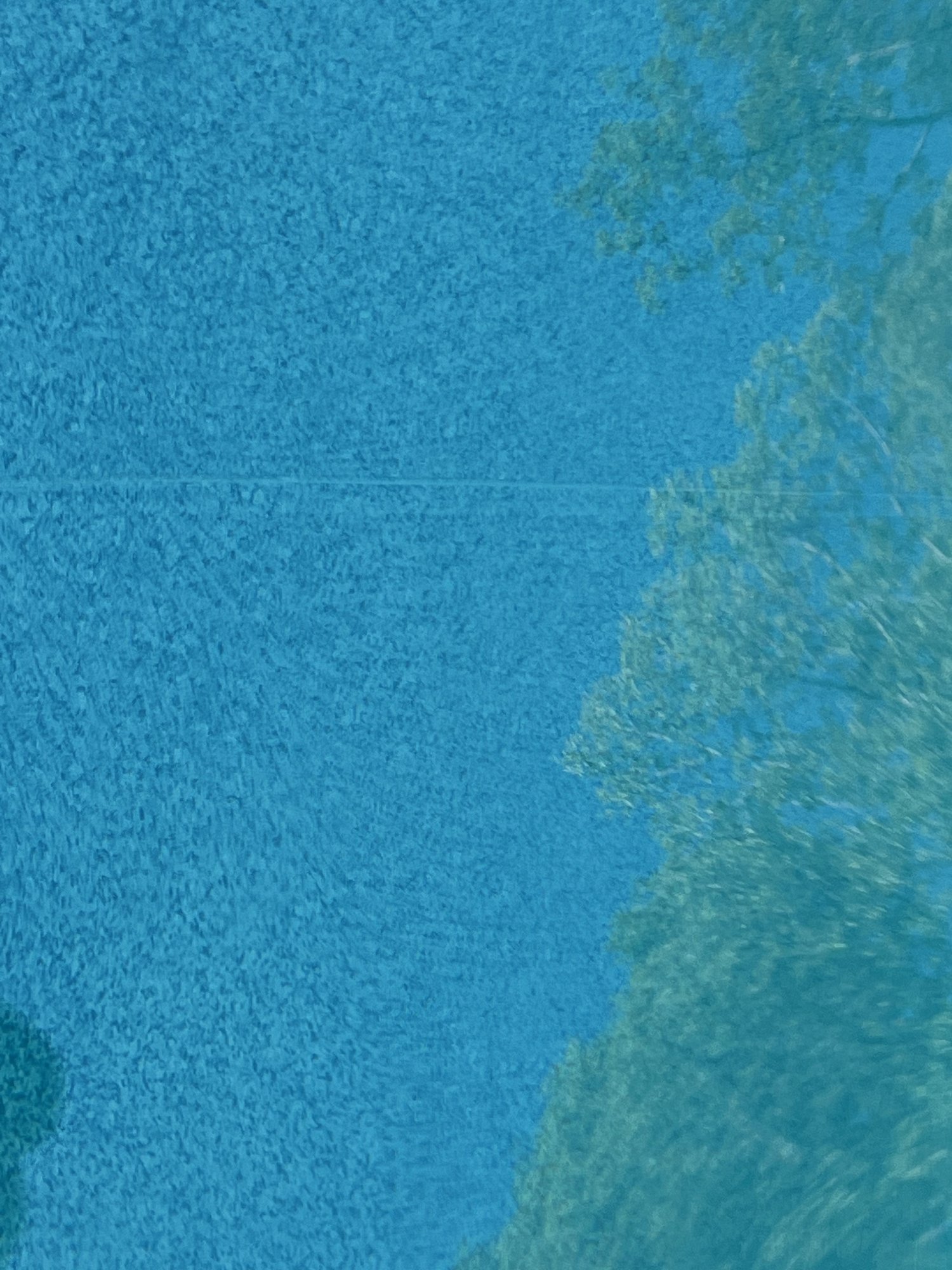 9247FE93-ADBF-4D30-A419-AA6433399A08.jpeg