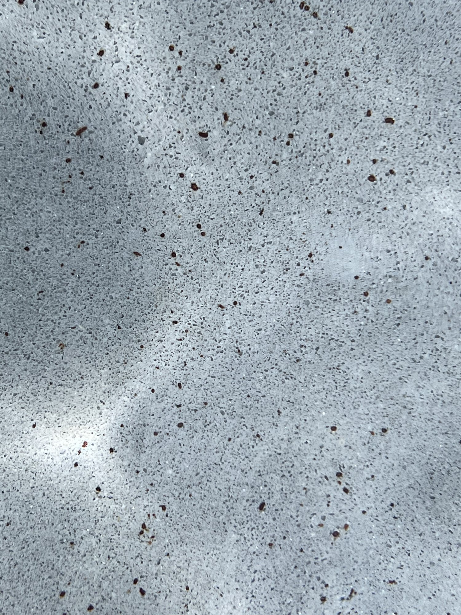 95960535-1243-4ACB-B9F8-6F6D317B6E20.jpeg