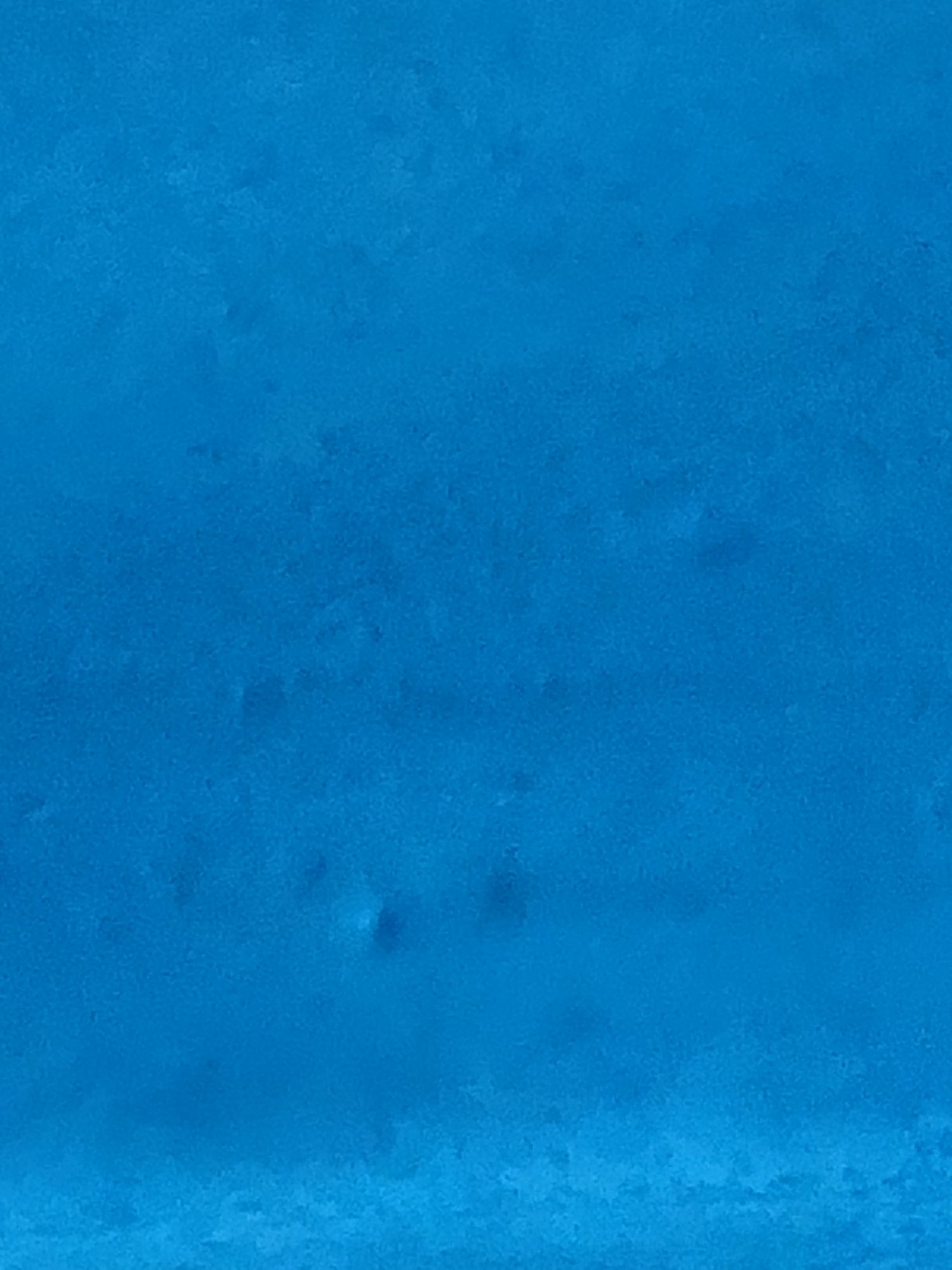 9599F700-2C06-4E5C-B4DA-3F4651A7A526.jpeg