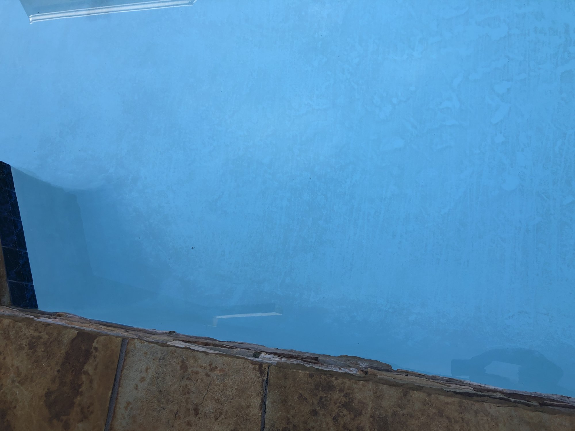 95BDF92E-442F-4FF5-AB0E-912DF4A835F3.jpeg
