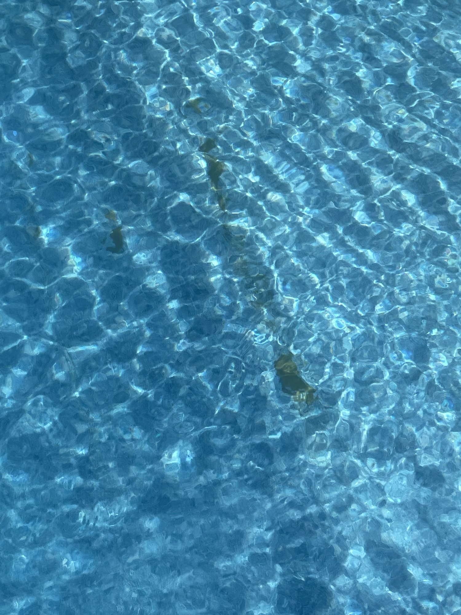 96C6192B-1942-4FD6-9F1F-02C1F0B25A77.jpeg