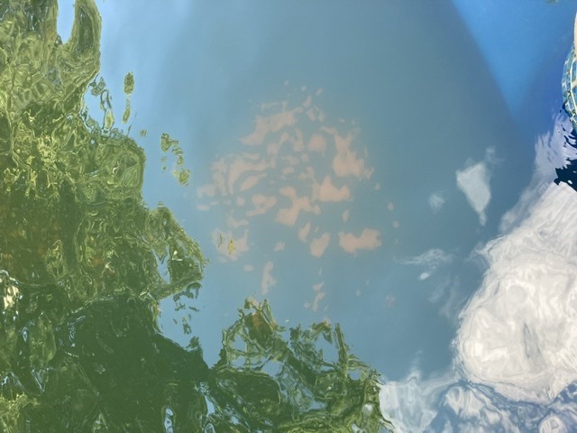 9820ADB2-75C4-4356-9395-A45911668E4F.jpeg