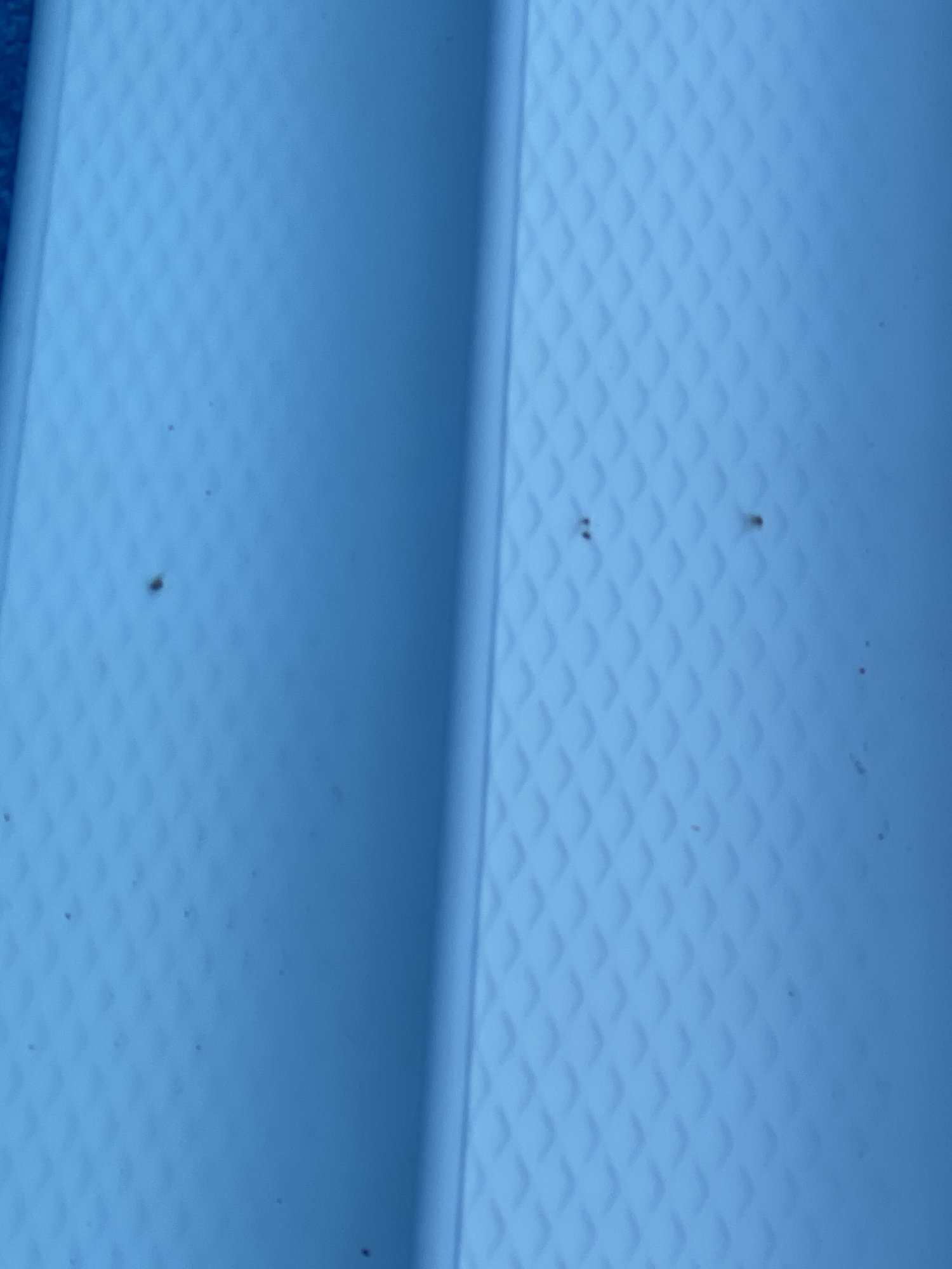 9AB73619-BAA4-4440-8C9F-C3F660767671.jpeg
