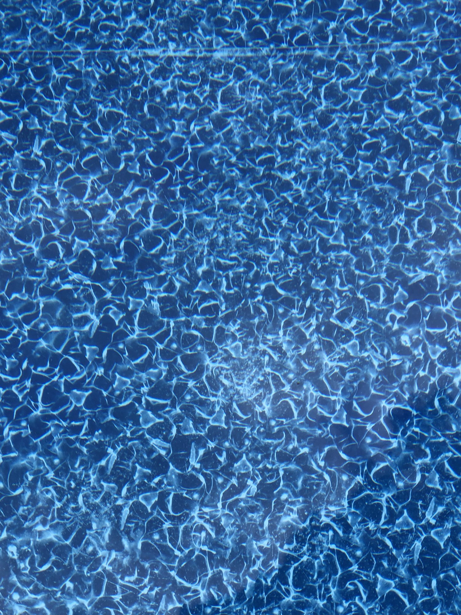 9CDA15D0-F48E-4BC1-938F-DAAB216B8CC5.jpeg