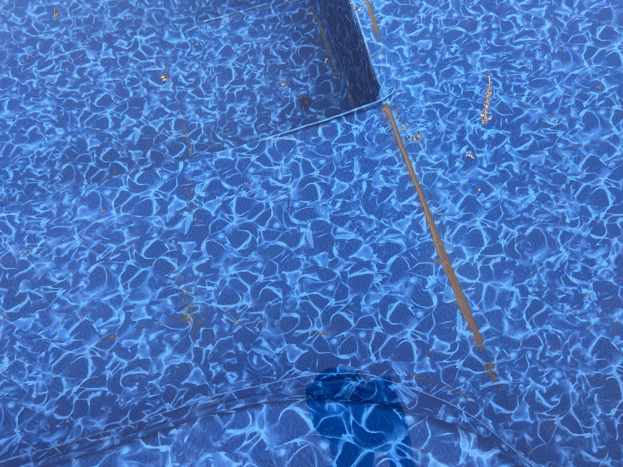 9ED94A07-85D0-4533-BCD1-6AD2314C95F9.jpeg