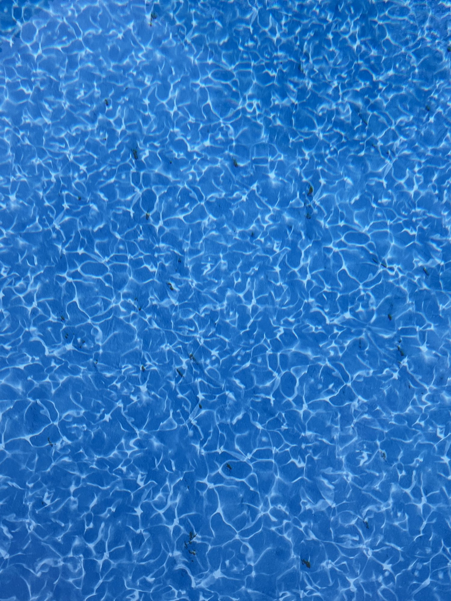 9F344517-785E-4B10-82EA-0E3E0C710EDA.jpeg