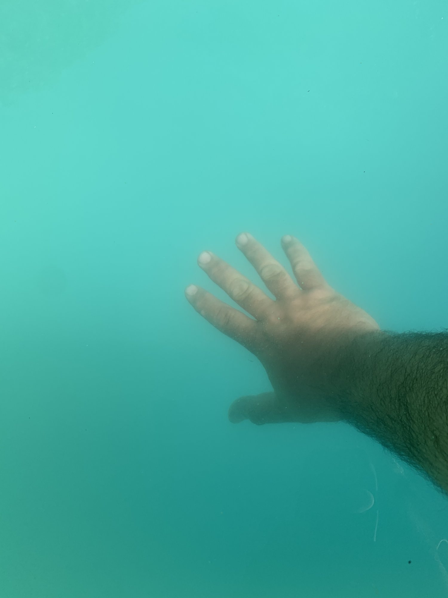 9F46612C-2AD1-449A-B6C1-3C5CE8A9B12A.jpeg