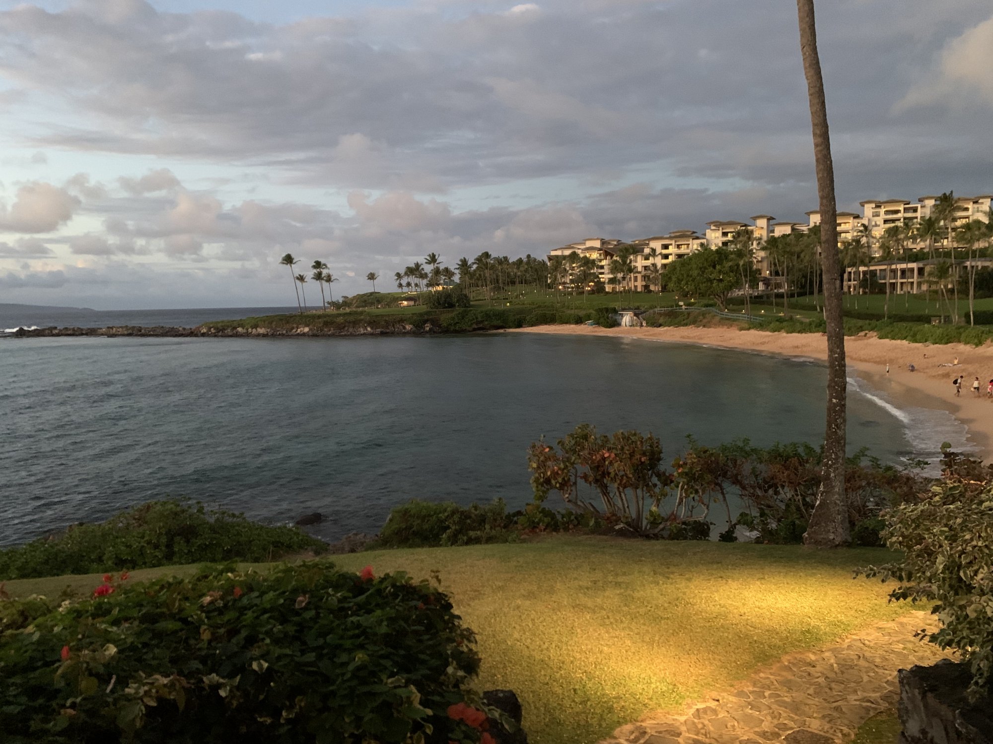 A04770D5-37D4-44E2-8188-859777211F8A.jpeg
