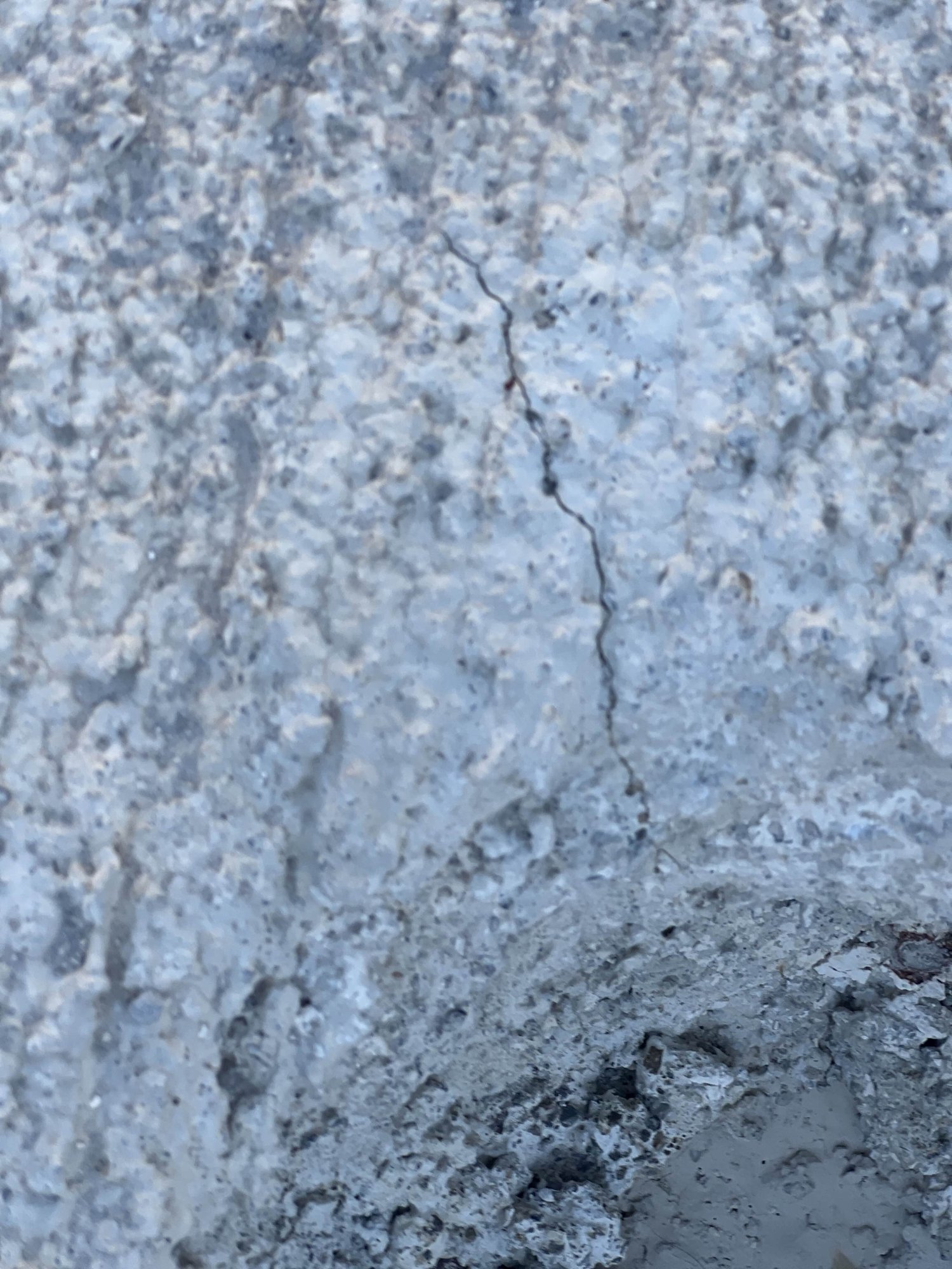 A0C9C00E-9DAF-4090-9765-7AB744915E9F.jpeg