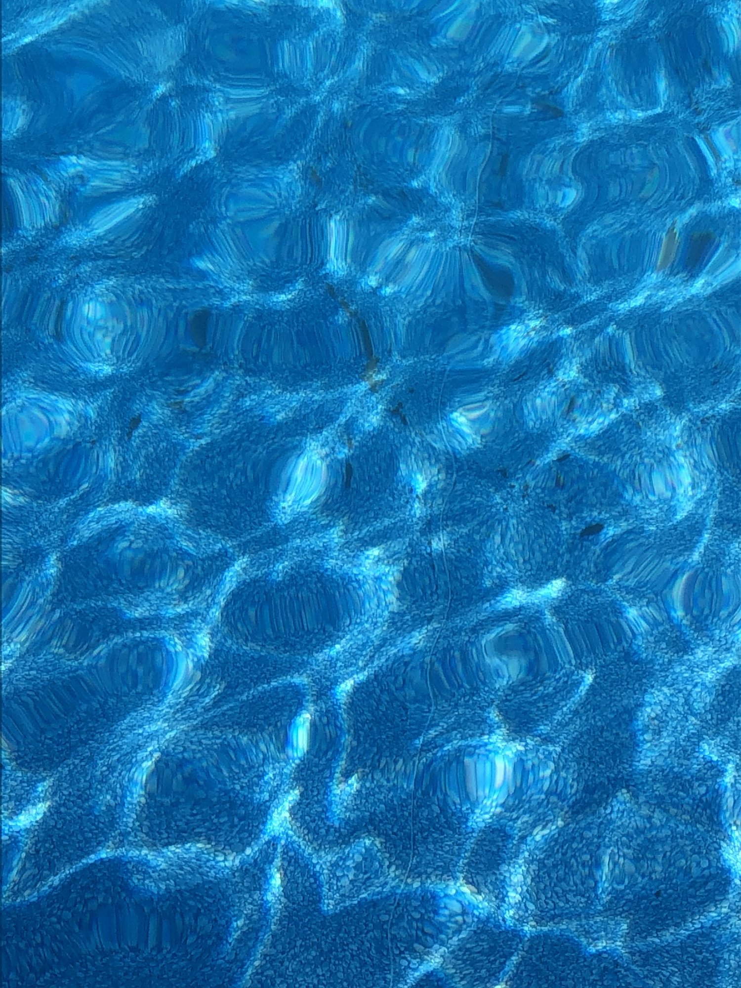 A27318D8-6B75-4A84-B449-002873712B94.jpeg